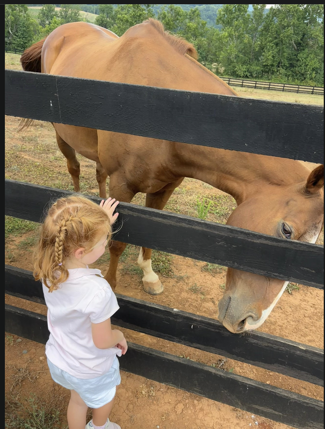 Eloise petting a horse